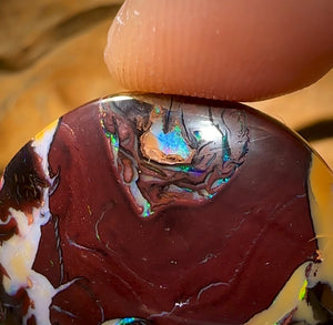 99.3cts - Top Tribal Queensland Boulder Opal. Double Sided!