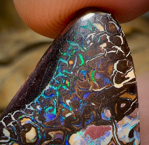 60.1cts - Yowah Nut Opal Polished Specimen. Tribal Pattern