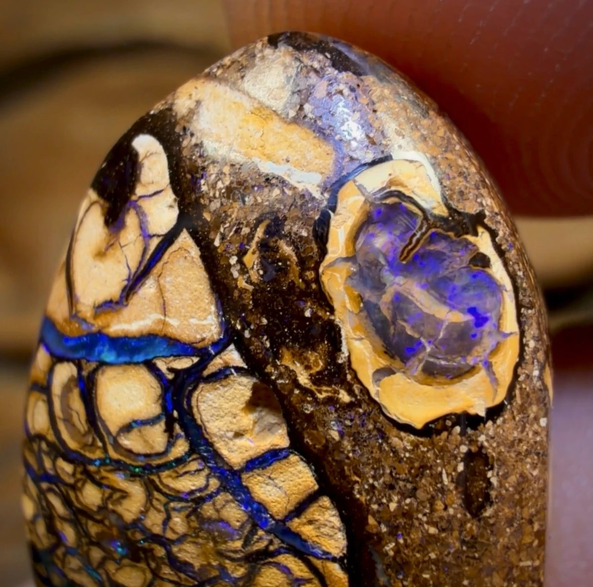 18.5cts - “WILD CARD” Australian Boulder Opal from Yowah