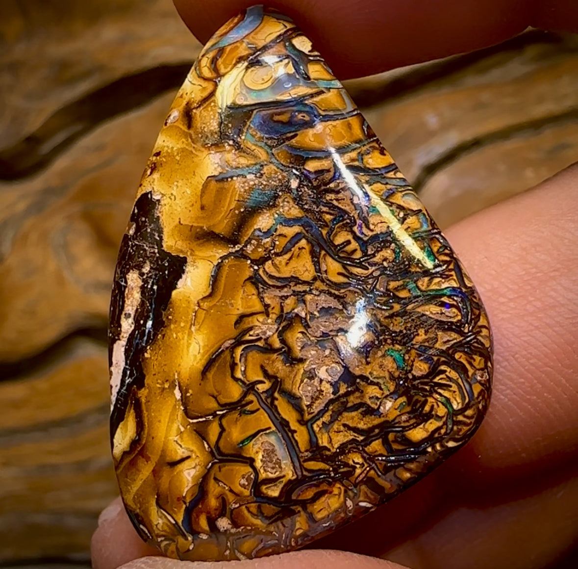 49.4cts - Tribal Queensland Boulder Opal from Yowah