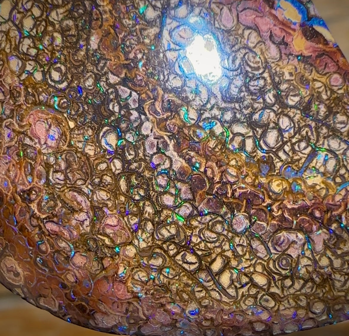 Solid Large Tribal Queensland Boulder Opal Pendant