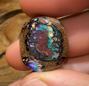 33.3cts - Tribal Kernel Koroit Nut Queensland Boulder Opal - Opal Whisperers