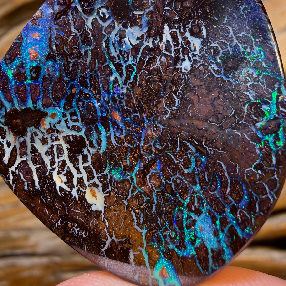 77.3cts - Tribal Queensland Boulder Opal from Yowah