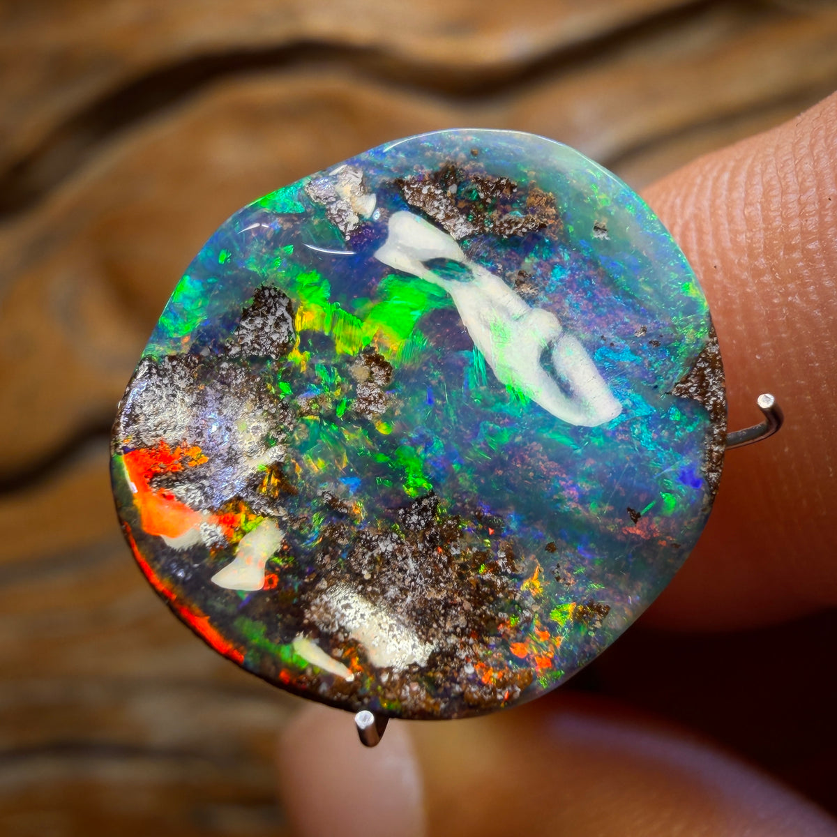 8.9cts - Top Australian Boulder Seam Opal from Winton