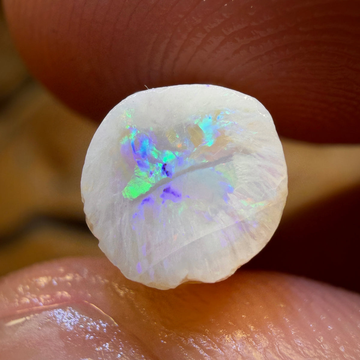 14.9cts - Opalised Belemnite Geological Specimen from South Australia