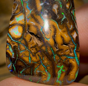 44.4cts - Australian Boulder Opal. Tribal Pattern