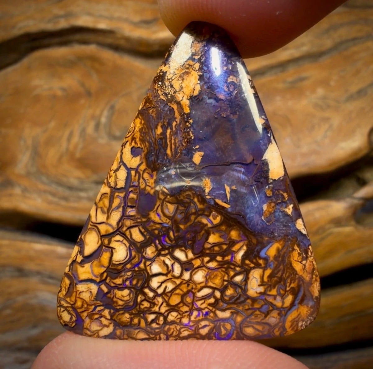 Dad Card! 27.1cts - Tan Tribal Black Gate Magic Nut Opal. Australian Opal