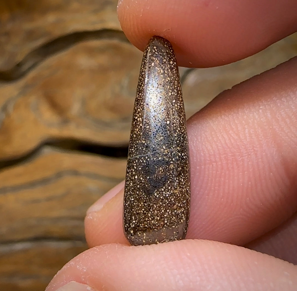 5.6cts - “Light Beams” Australian Boulder Opal from Winton. Gem Quality - Opal Whisperers