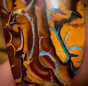 16.1cts - Top Tan Tribal Queensland Boulder Opal Art of Opal Worthy…I Love It