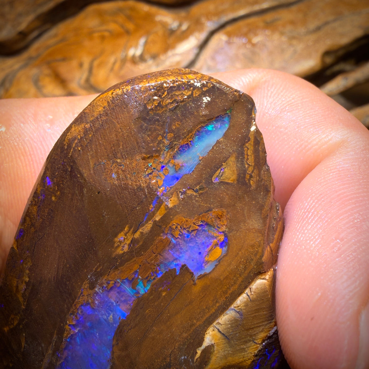 1423cts - Awesome Massive Split Queensland Boulder Opal Rough Pair. Found on ‘Outback Opal Hunters’!