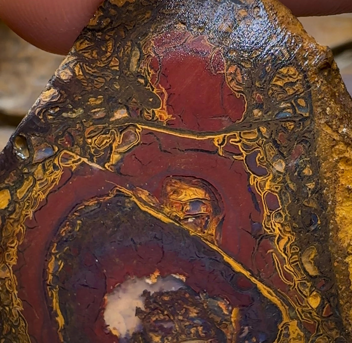 328.8cts - Yowah Nut Opal Rough Half. Australian Opal - Opal Whisperers