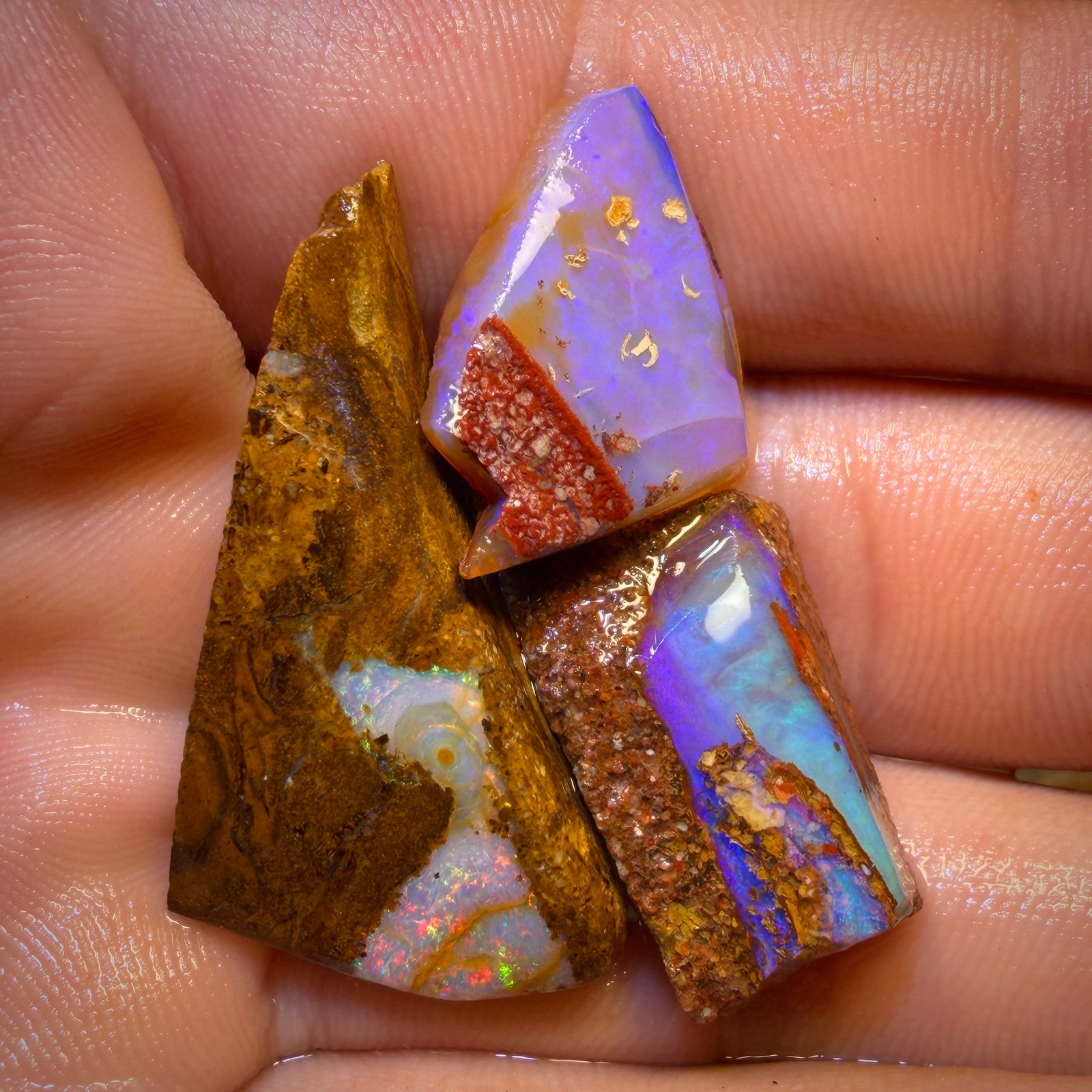 64.2cts - 3x Queensland Boulder Pipe Opal Rough Pieces