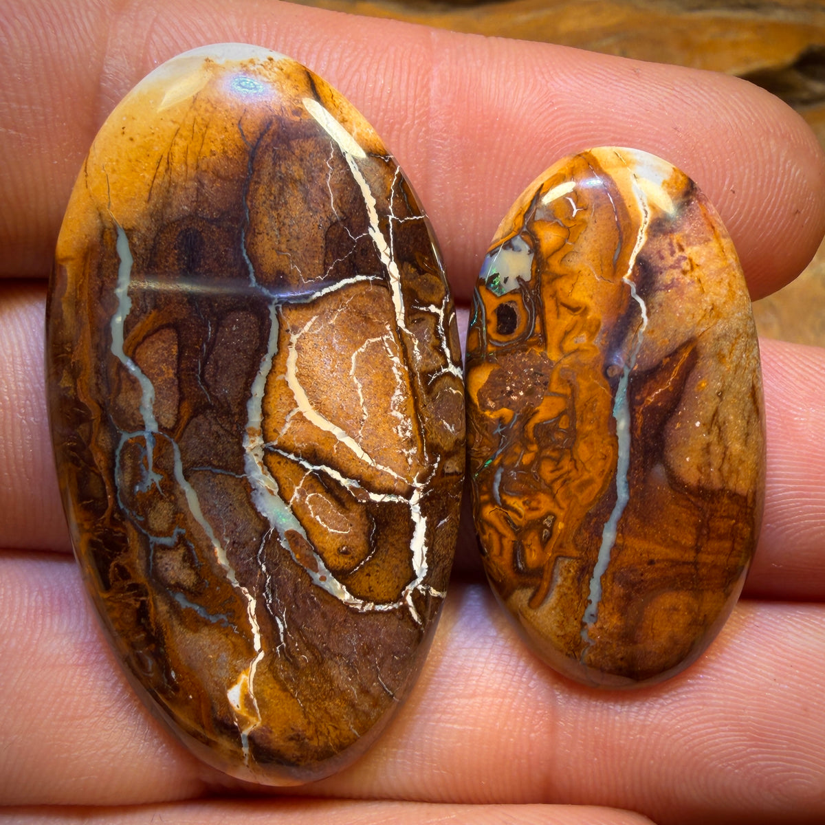 64.8cts - Tribal Queensland Boulder Opal Pair