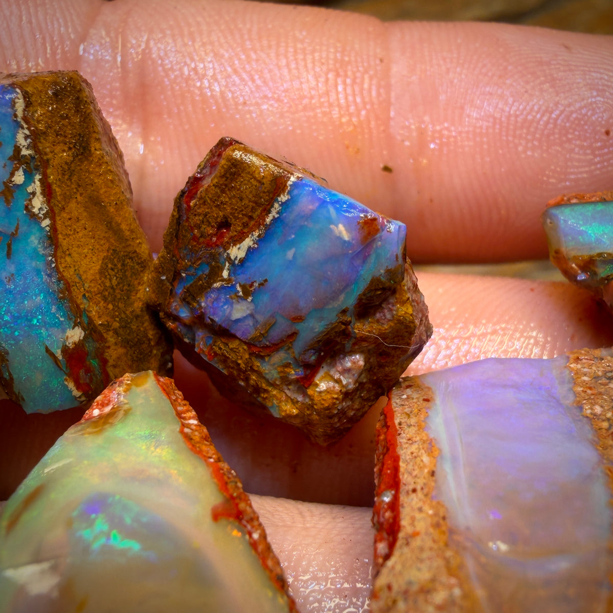 127.1cts - 6x Queensland Boulder Pipe Opal Rough Pieces