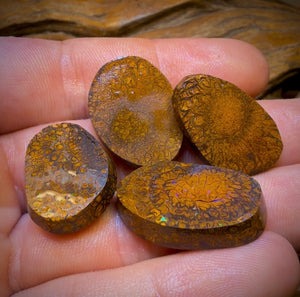 94.5cts- 4x Tribal Queensland Boulder Opal Rubs