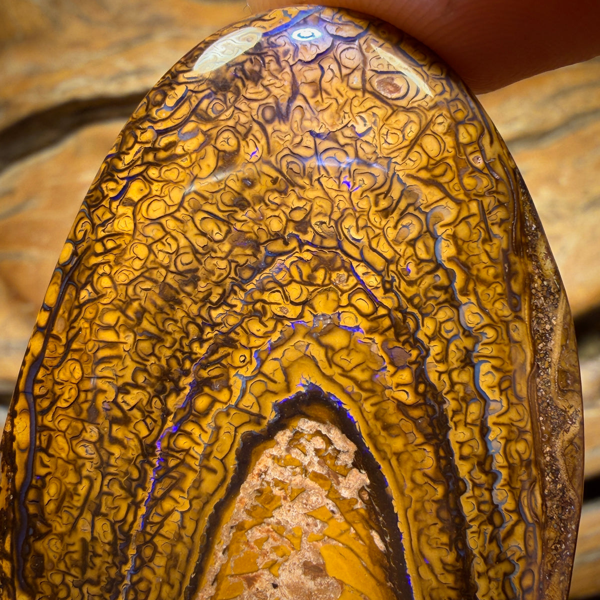 248.8cts - Large Tribal Queensland Boulder Opal from Yowah $1/ct Massive Cut Stone