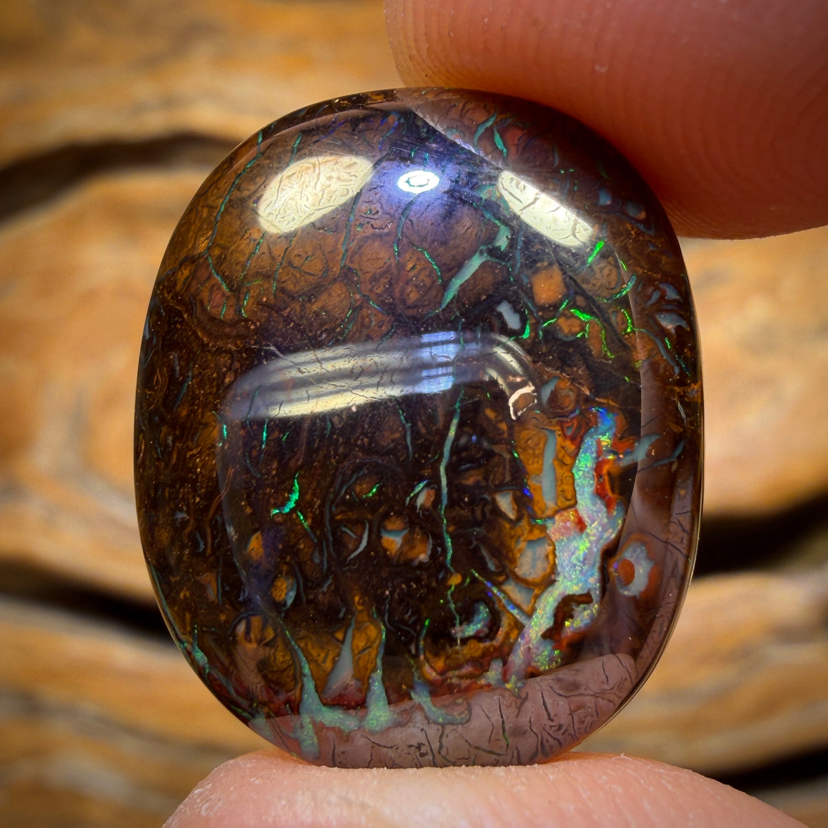 36.4cts - Tribal Yowah Nut Opal. Double Sided