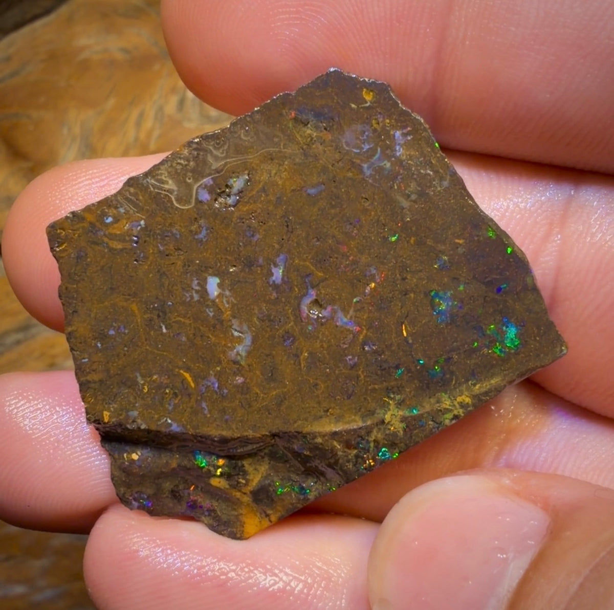 72,6 ct – Australischer Boulderopal-Rohling. Bubble Band