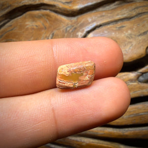 3.1cts - Cool Rough Finished Solid Australian Boulder Pipe Opal