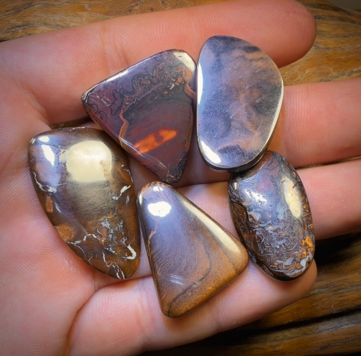 157.2cts - 5x Australian Boulder Opal’s. Wholesale Dealers Parcel