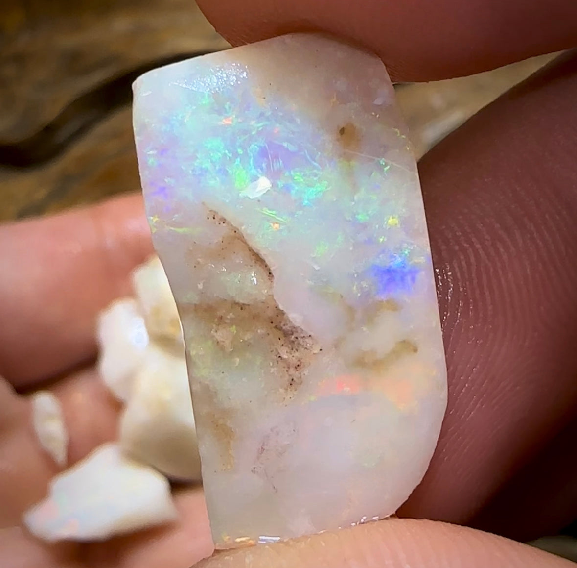 (Template) 98.3cts - 7x South Australian White Opal Rough Pieces - Opal Whisperers