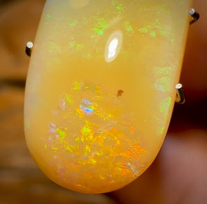 6.5cts - Very Old Rare Yowah Nut Pure Golden Yellow Crystal Opal