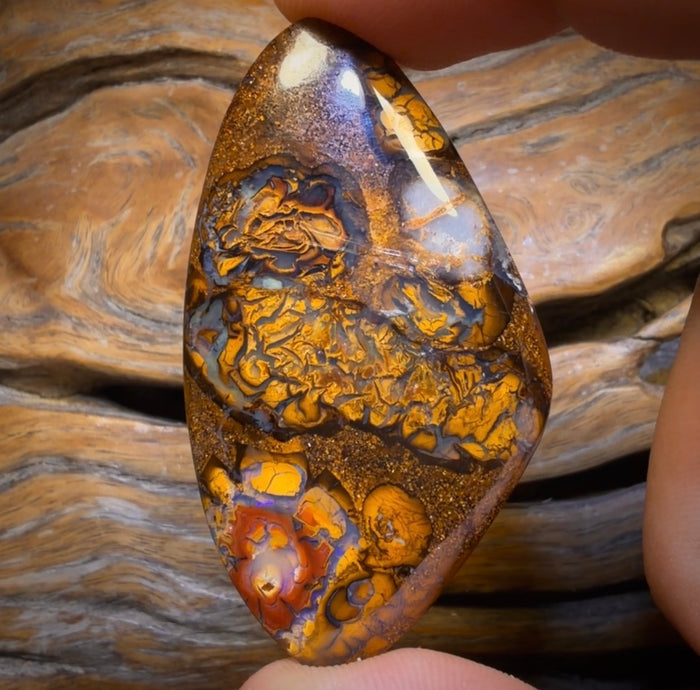 🔨 AUCTION 🔨 91.1cts - Tribal Eye1 Yowah Nut Opal. Australian Opal