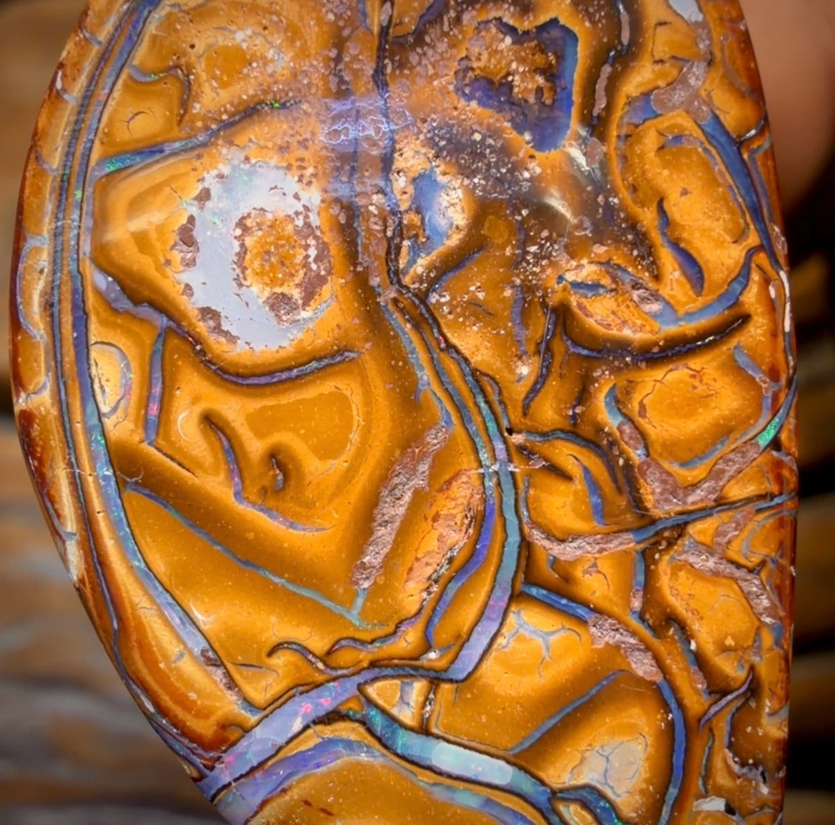 42 x 24mm - Drilled Tribal Queensland Boulder Opal Necklace