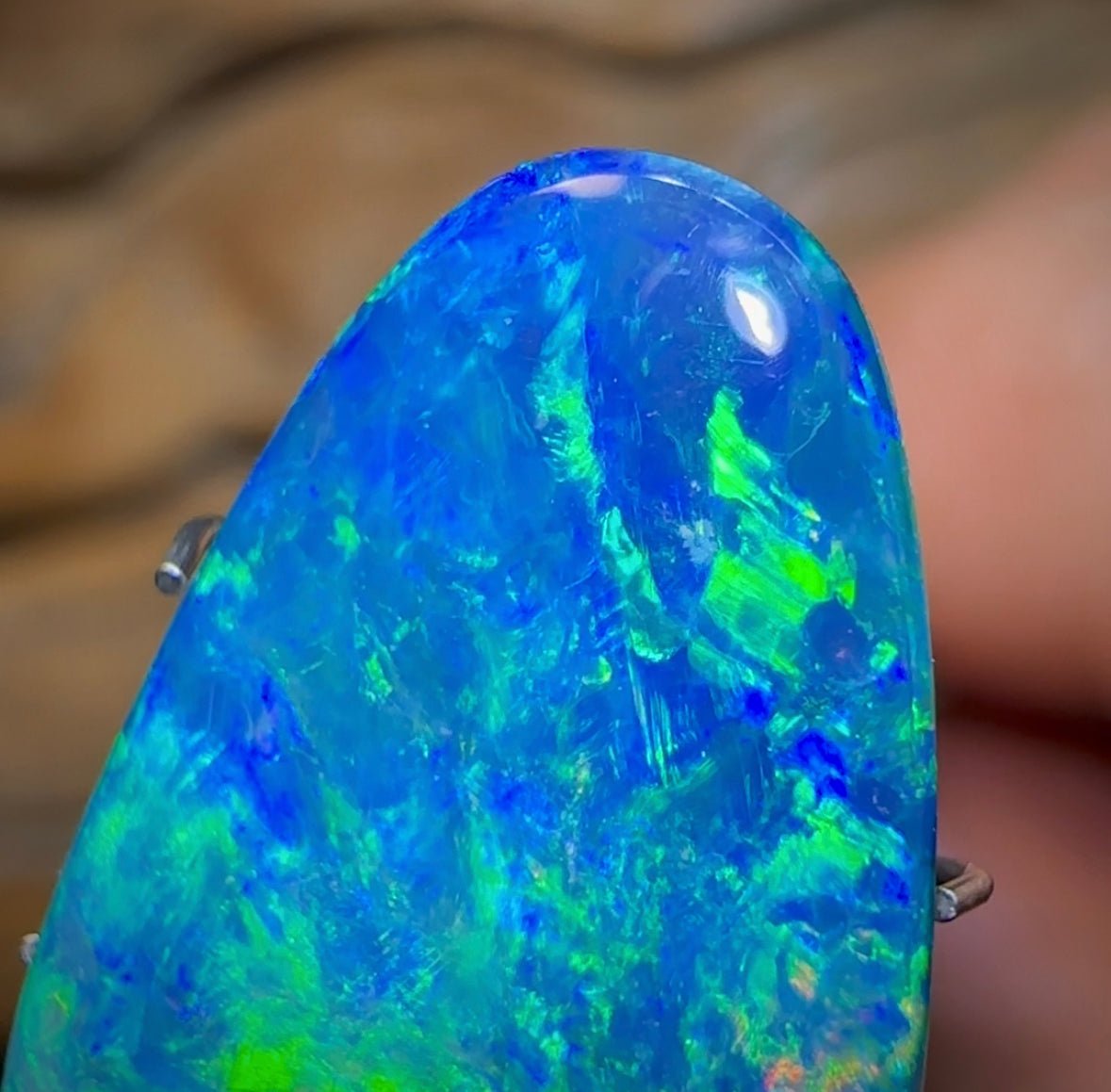 9.4cts - TOP Australian Boulder Opal Doublet. Undulated Pippi Shell - Opal Whisperers