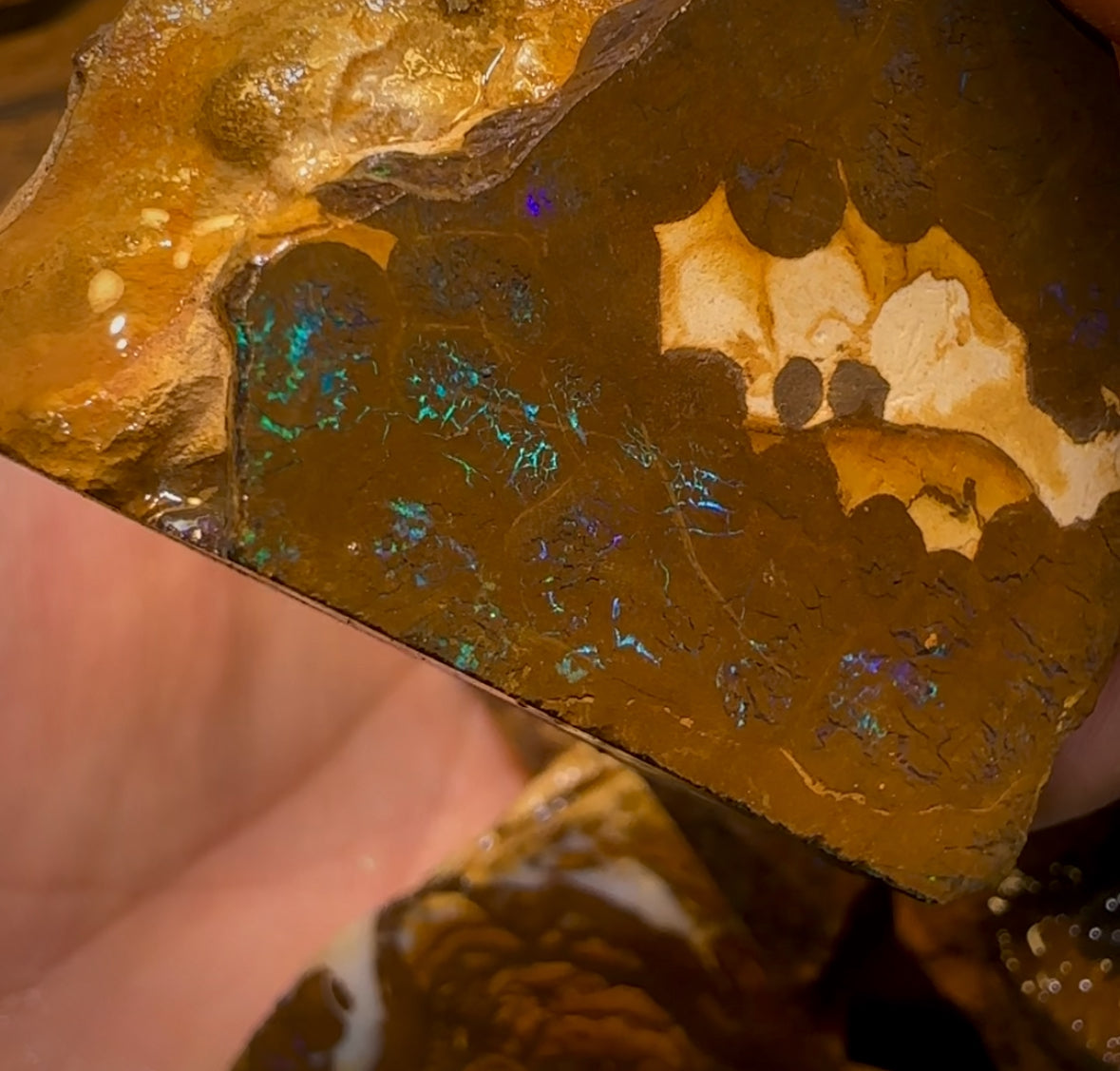 2061cts - 9x Queensland Boulder Rough Opal Parcel Only 0.25c/ct !