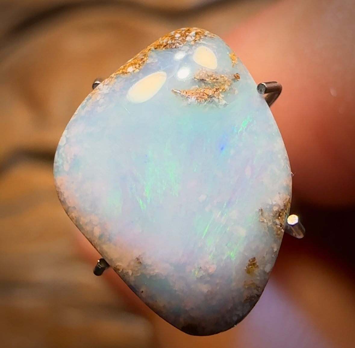 4.1cts - Solid Australian Boulder Pipe Opal. BARGAIN