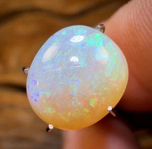 🔨 AUCTION 🔨 2.95cts - Golden Bean Lightning Ridge Crystal Opal