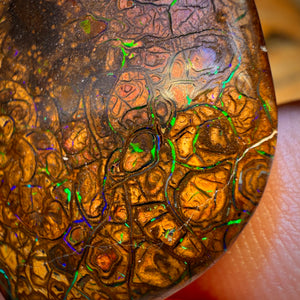 29.3cts - Tribal Yowah Nut Opal. Electric Green
