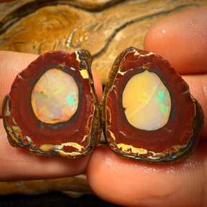 65.5cts - Yowah Nut Crystal Centre Rough Specimen Pair