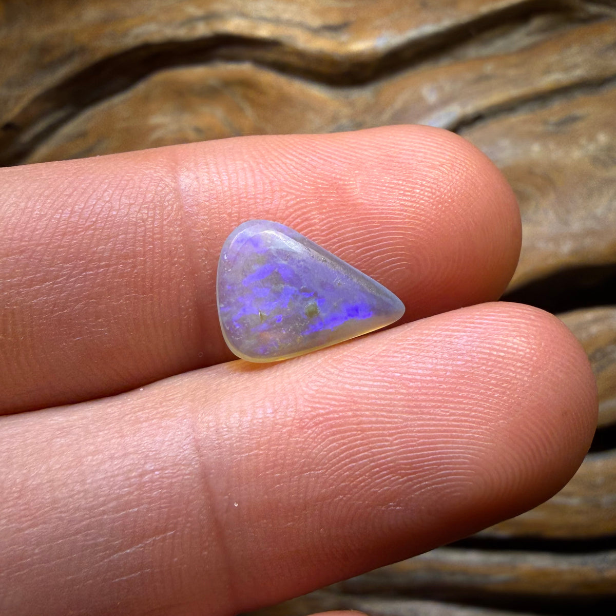 1.9cts - Lightning Ridge Super Rare Harlequin Type Crystal Opal