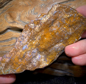 611.2cts - “Opal Dagger”Australian Boulder Wood Fossil Opal Rough Piece. Carvers Delight