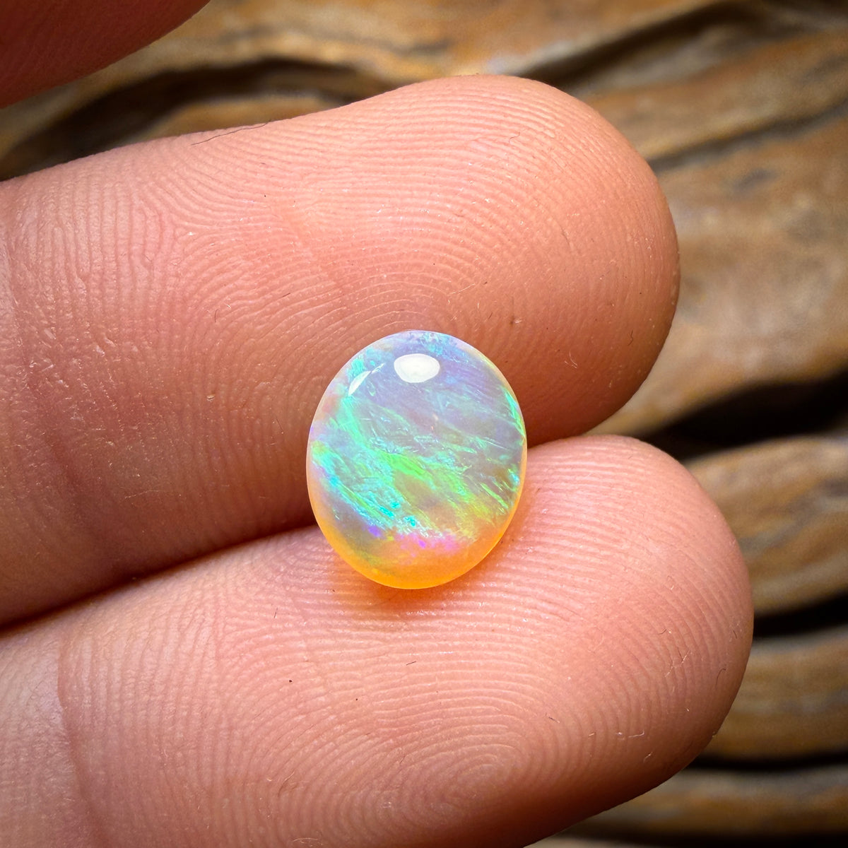 1.6cts - Queensland Boulder Crystal Opal