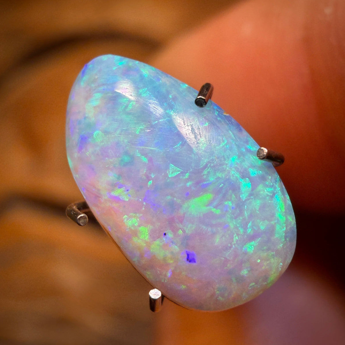 2.2cts - Solid Australian Boulder Pipe Opal