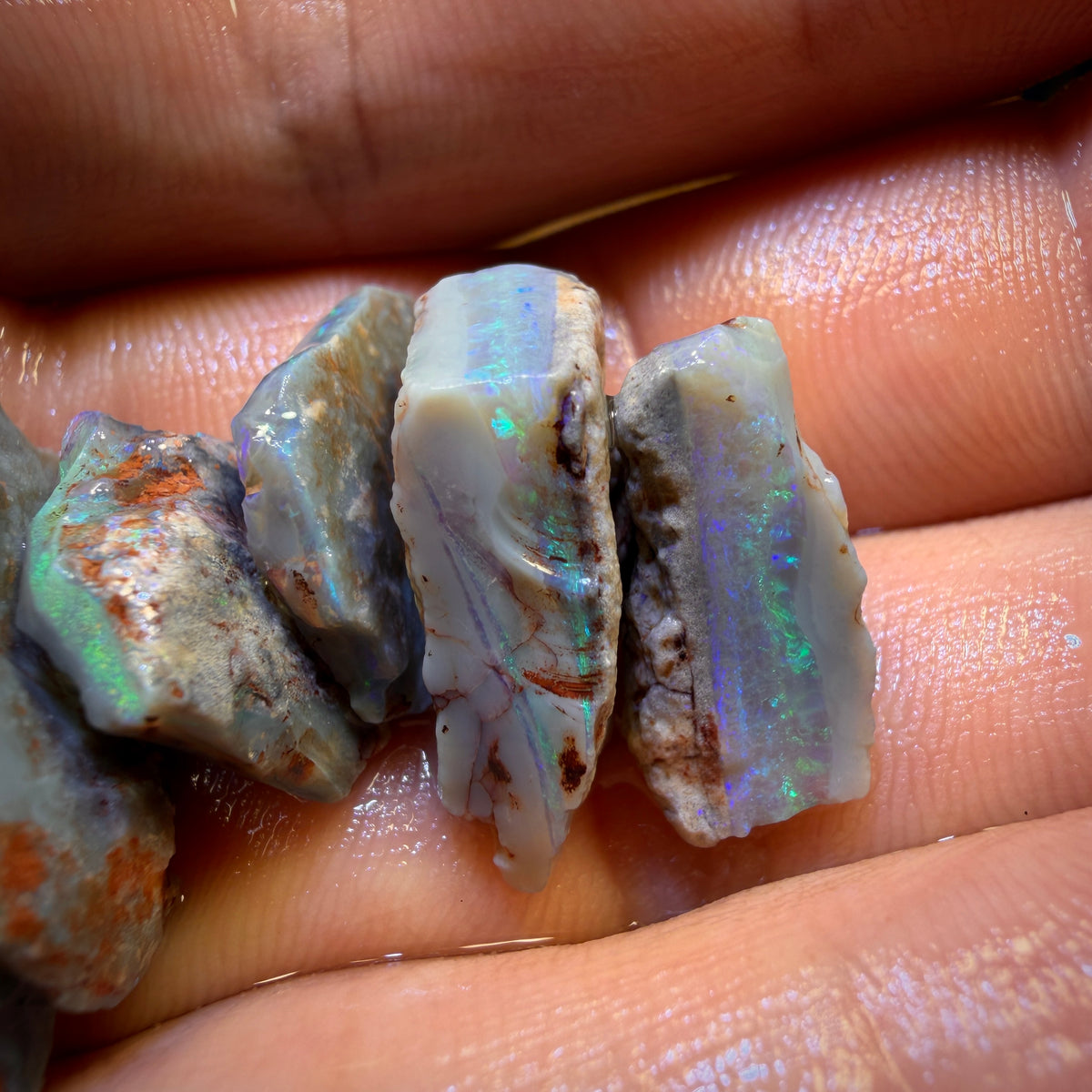 42,9ct - 6x Lightning Ridge Opal Rohpaket