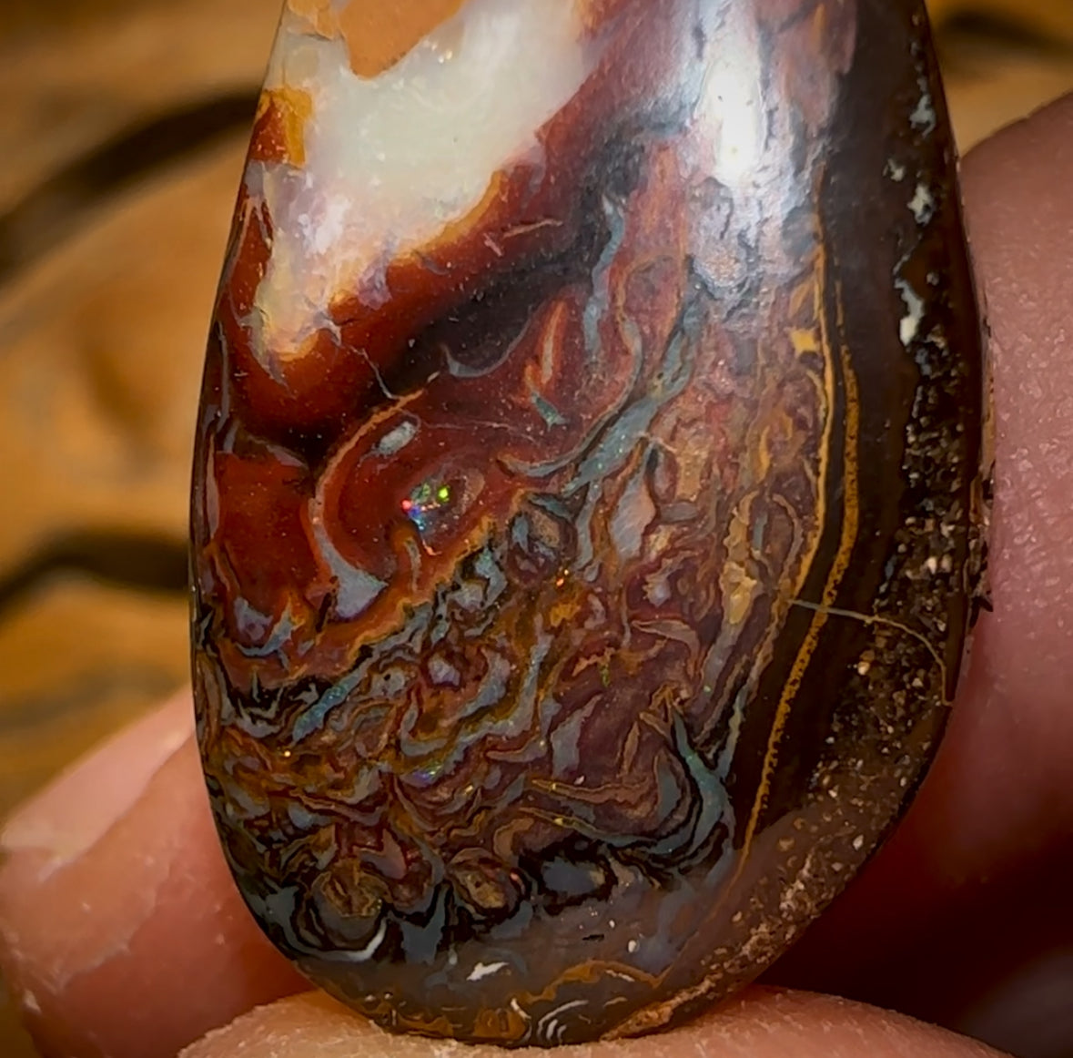🔨 AUCTION 🔨 No Reserve  20.8cts - Koroit Nut Tribal Opal