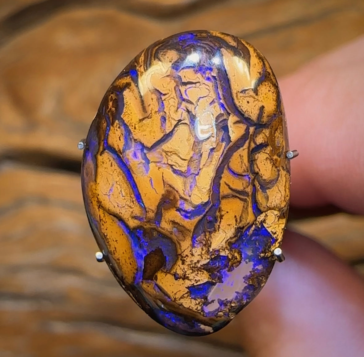 8,6 carats - Opale Boulder violette tribale du Queensland, une excellente affaire, de Yowah