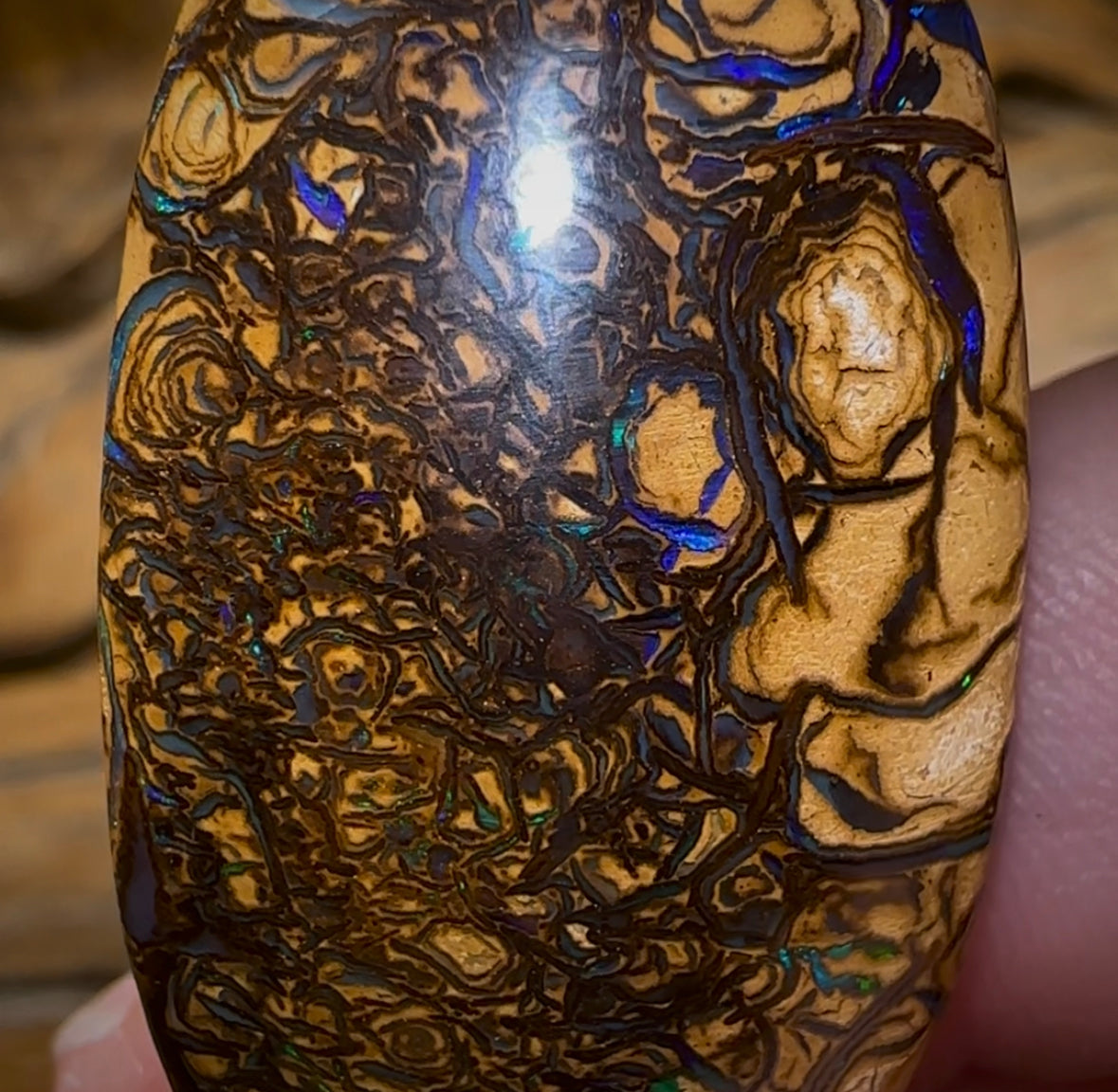 69.4cts - Australian Boulder Opal. Yowah Tribal - Opal Whisperers