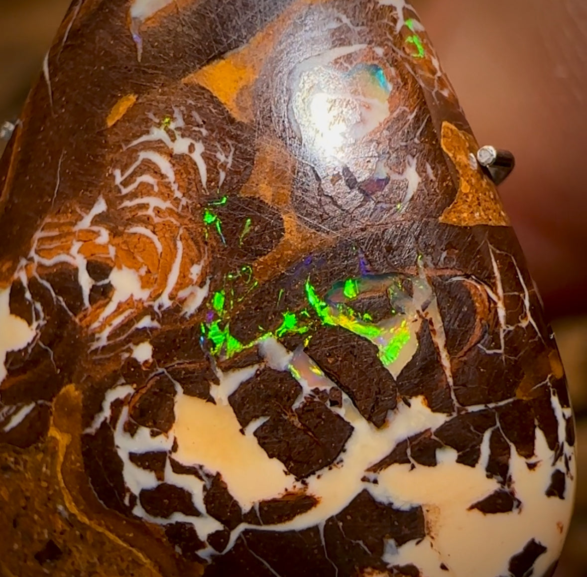 14.5cts - Yowah Nut Opal