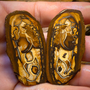 Bargain Card! 150.5cts - Yowah Nut Tribal Opal Rough Specimen Pair