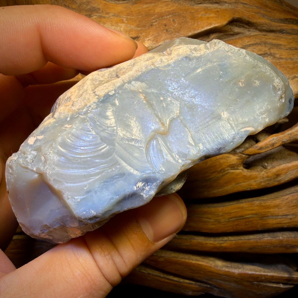 1333cts - HUGE Lightning Ridge Black Potch Opal Rough Piece