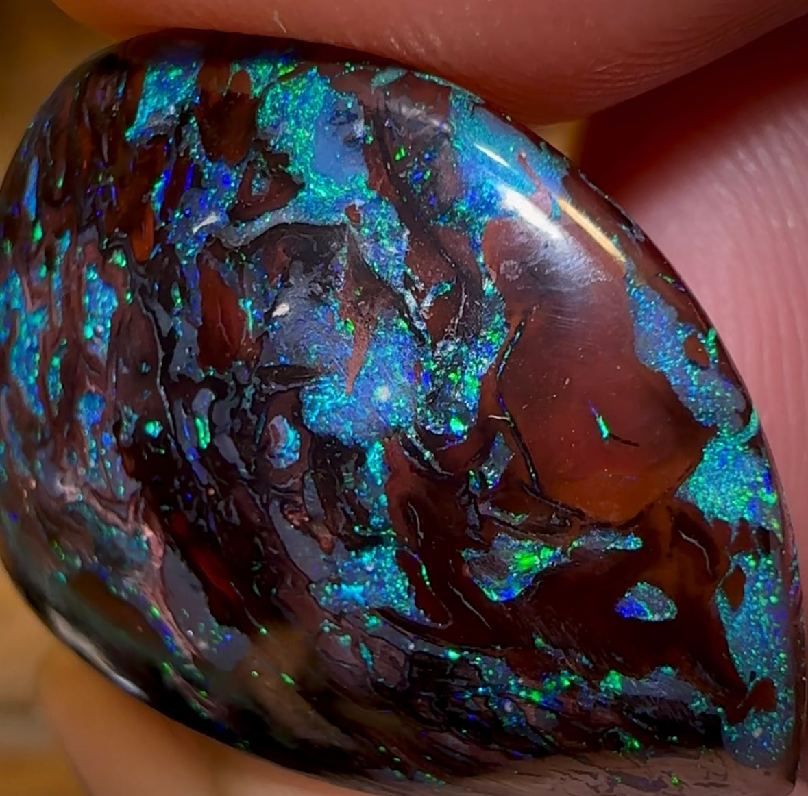 41.1cts - Tribal Koroit Nut Opal Specimen. Double Sided Rare Half Polished Nut - Opal Whisperers