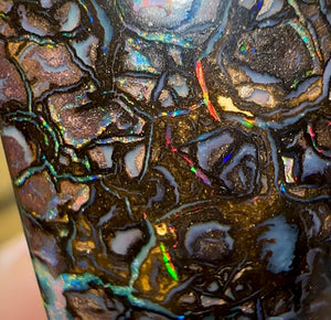 55.7cts - Tribal Queensland Boulder Opal from Koroit - Opal Whisperers