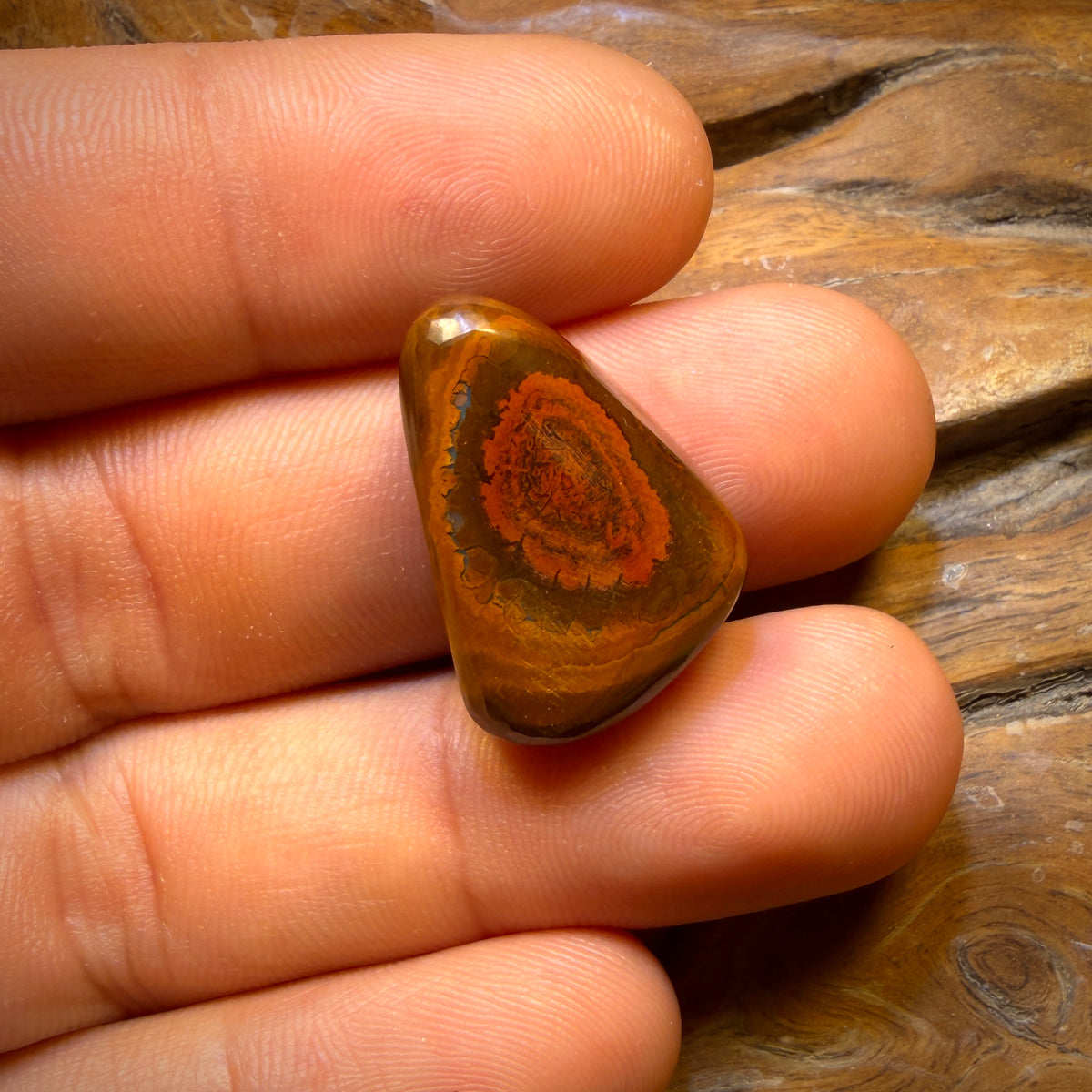 🔨 AUCTION 🔨 29cts - Australian Boulder Opal from Yowah