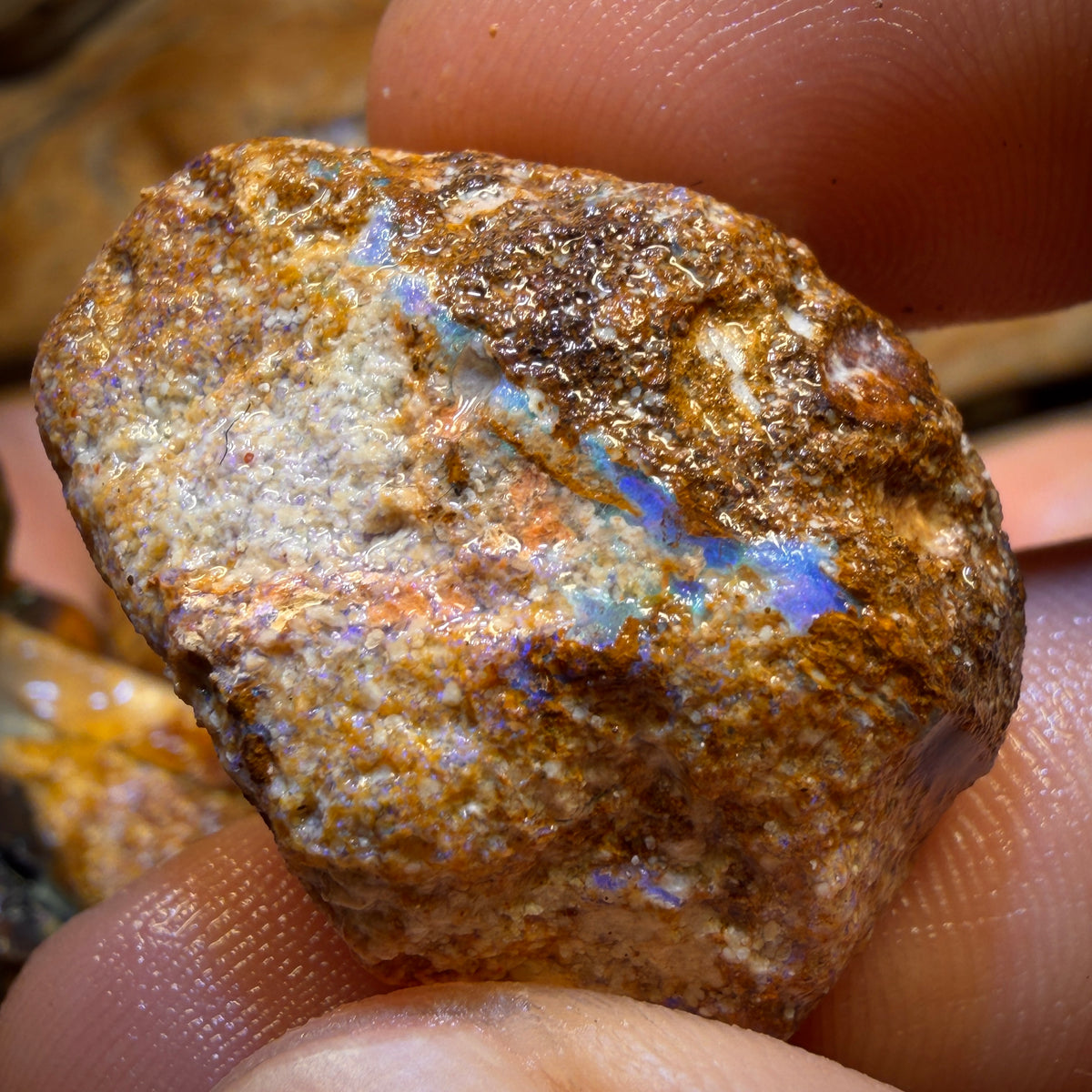 923cts - 11x Yowah Nut Rough Opal Parcel. Australian Boulder Opal