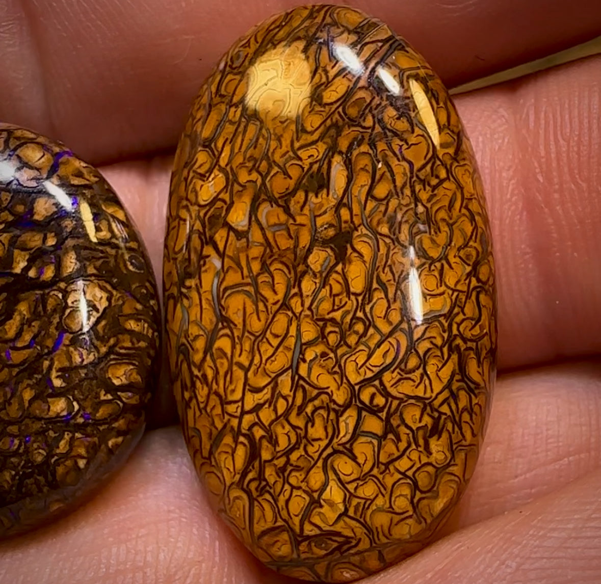 64.5cts - Loose Queensland Boulder Opal Set